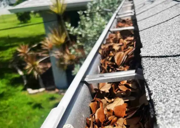 Bellevue gutter cleaning home page
